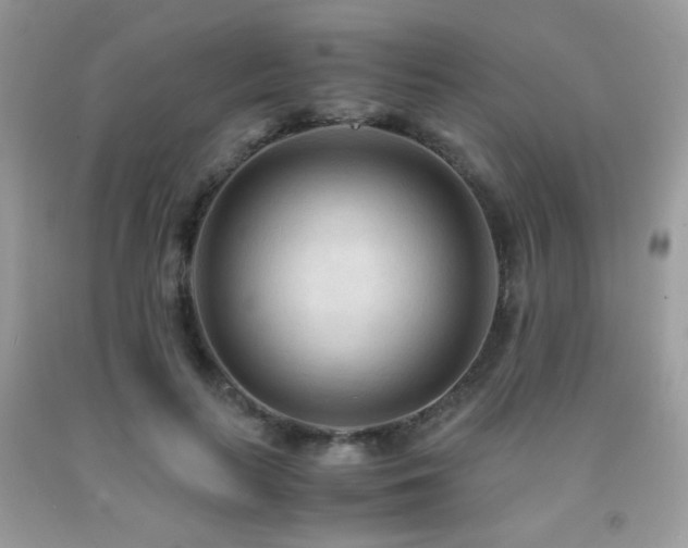 X0000091980647200709061355
