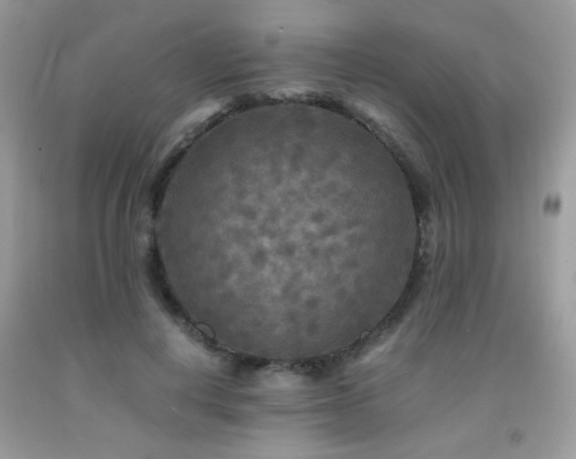 X0000091980648200709061355