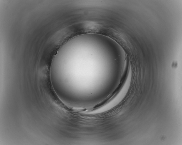 X0000091980649200709061355