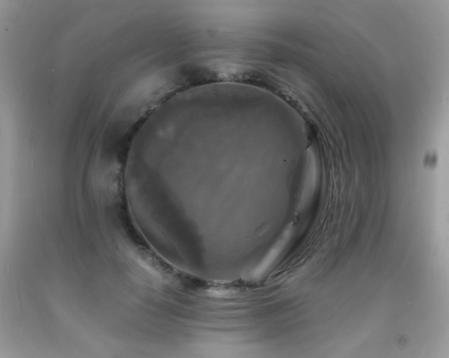 X0000091980650200709061355