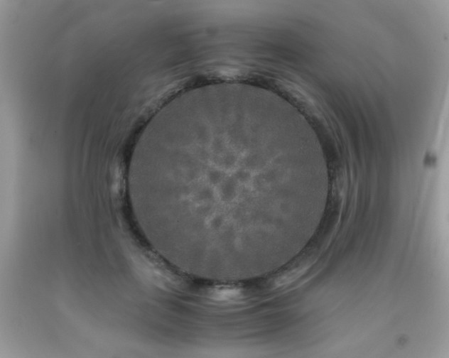X0000091980651200709061355