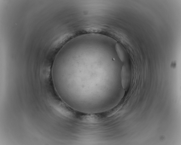X0000091980652200709061355