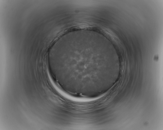 X0000091980653200709061355