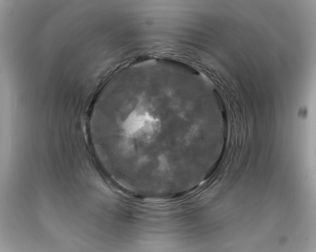 X0000091980654200709061355
