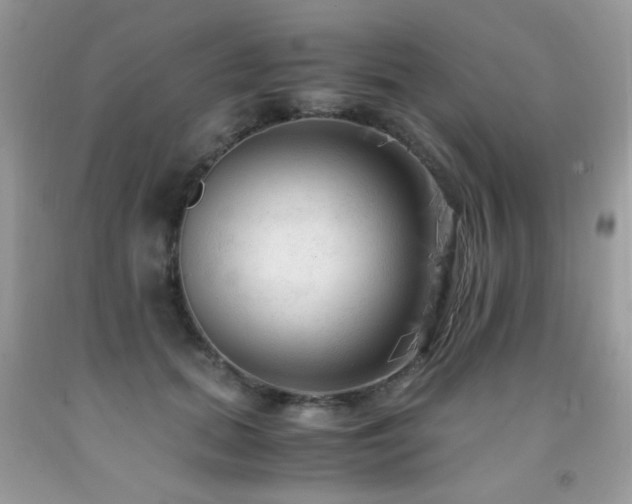 X0000091980655200709061355