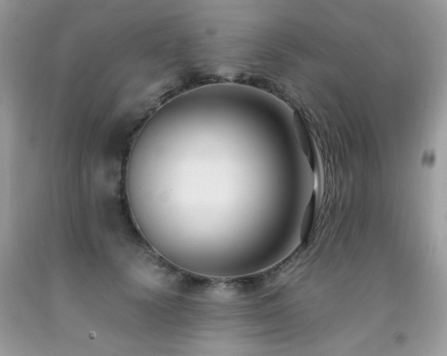 X0000091980656200709061355