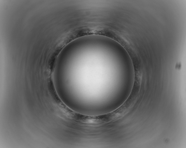 X0000091980657200709061355