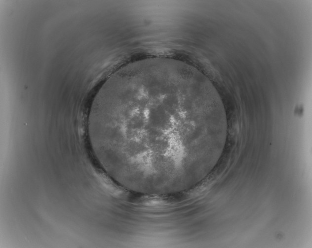 X0000091980658200709061355