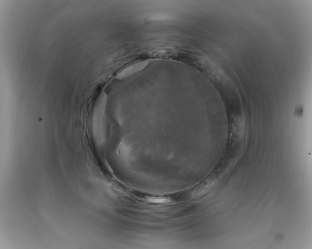 X0000091980659200709061355