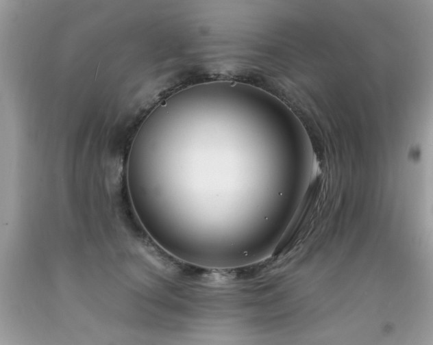 X0000091980660200709061356
