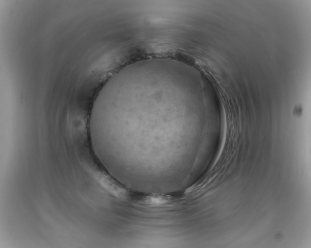X0000091980662200709061356