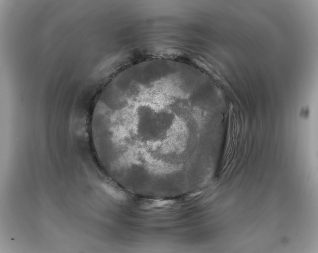 X0000091980663200709061356