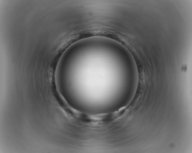 X0000091980664200709061356