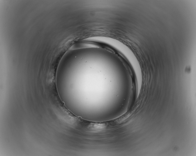 X0000091980665200709061356