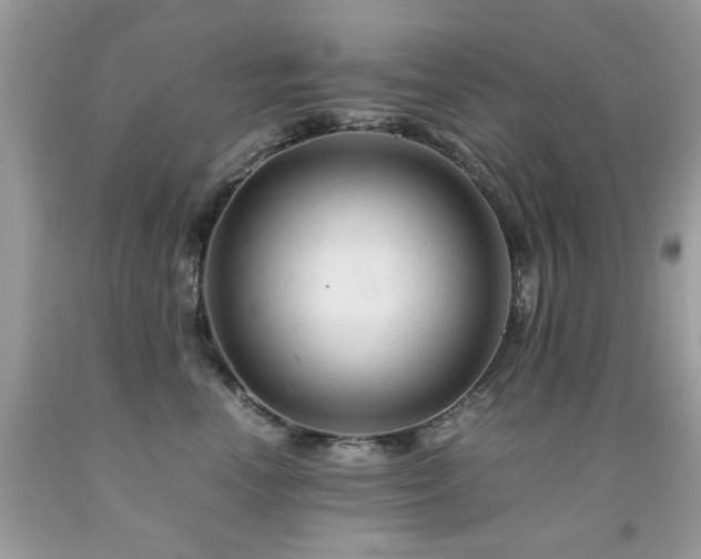 X0000091980666200709061356