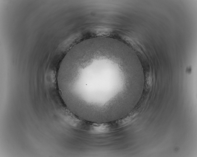 X0000091980667200709061356