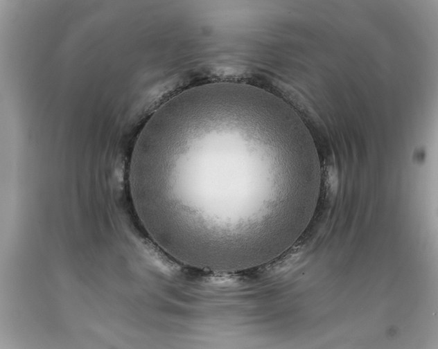 X0000091980668200709061356
