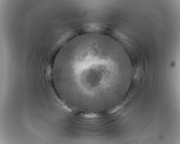 X0000091980669200709061356