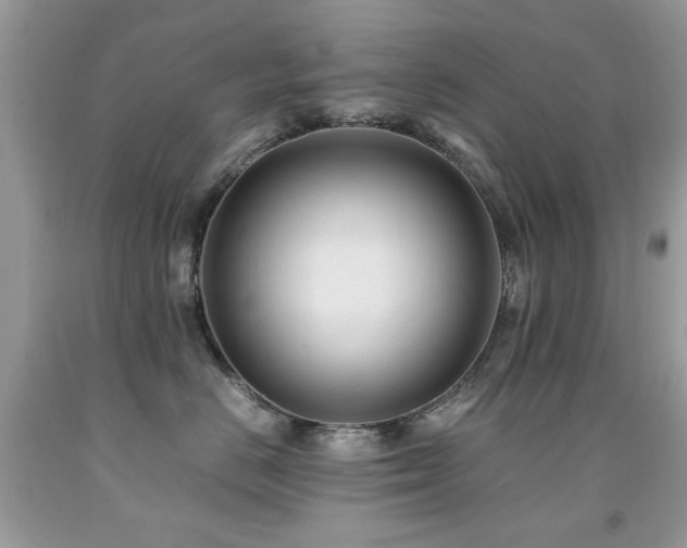 X0000091980670200709061356