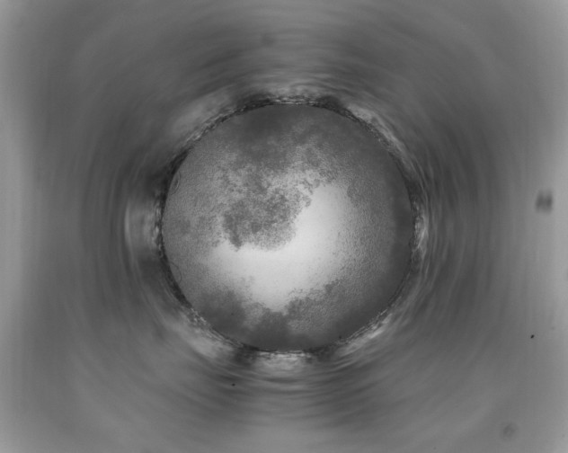 X0000091980671200709061356