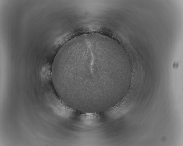 X0000091980672200709061356