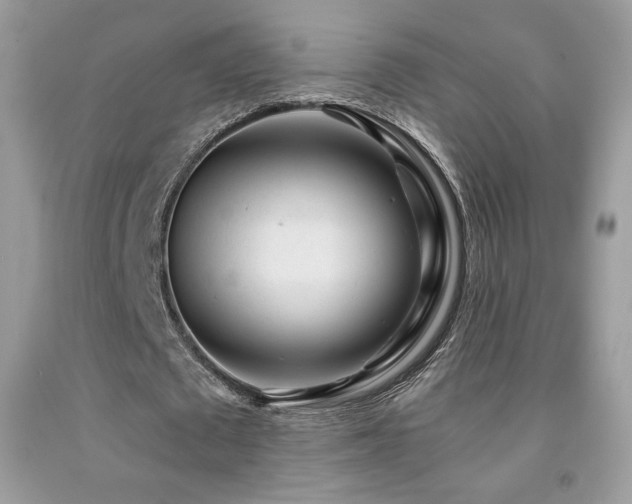 X0000091980673200709061355