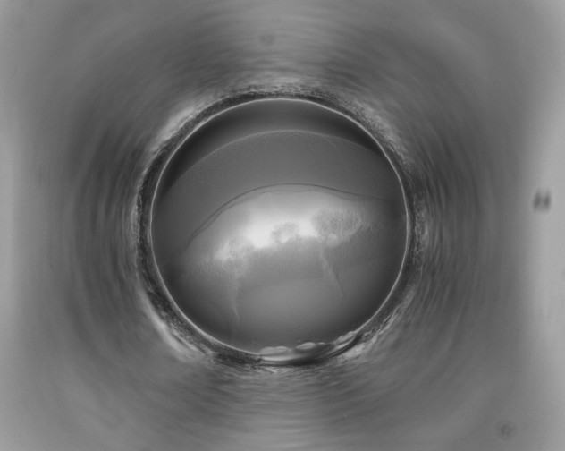 X0000091980674200709061355