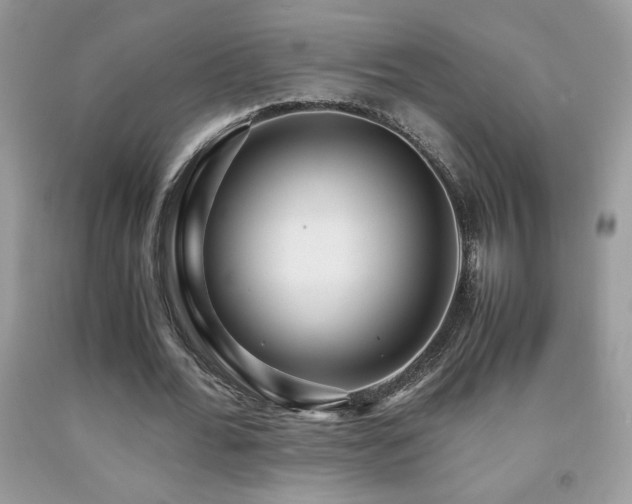 X0000091980676200709061355