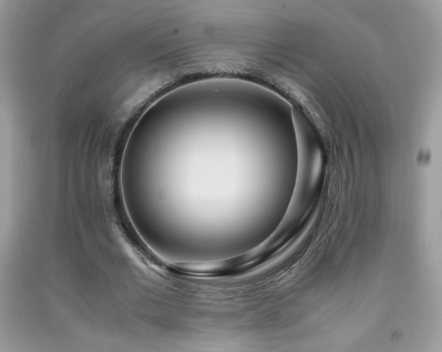 X0000091980677200709061355