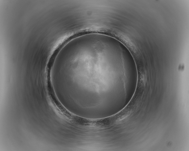 X0000091980678200709061355