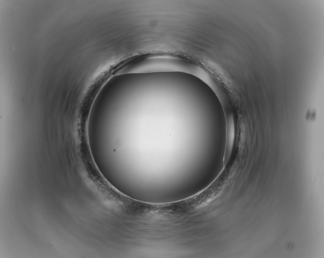 X0000091980680200709061355
