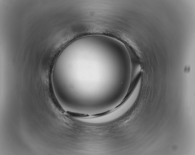 X0000091980681200709061355