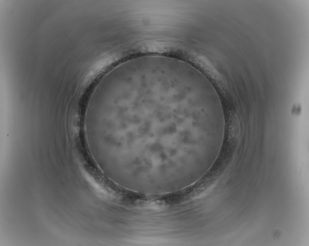 X0000091980683200709061355