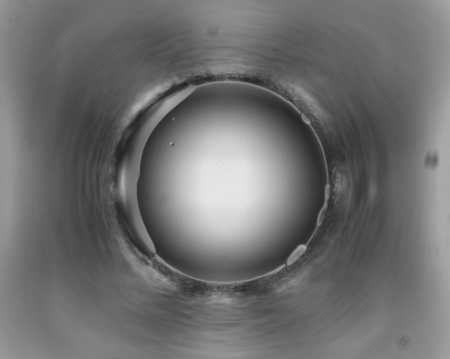 X0000091980684200709061355