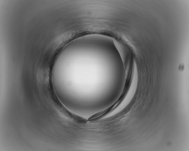X0000091980685200709061355