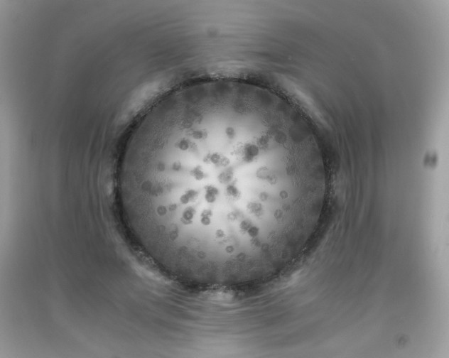 X0000091980687200709061355