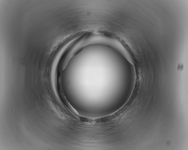 X0000091980688200709061355