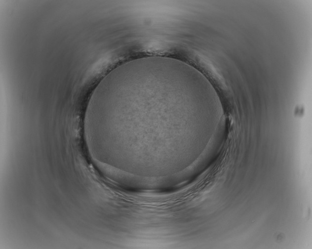 X0000091980689200709061355