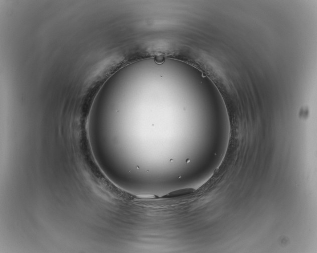 X0000091980690200709061355