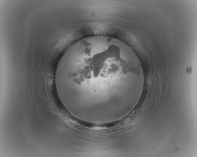 X0000091980691200709061355