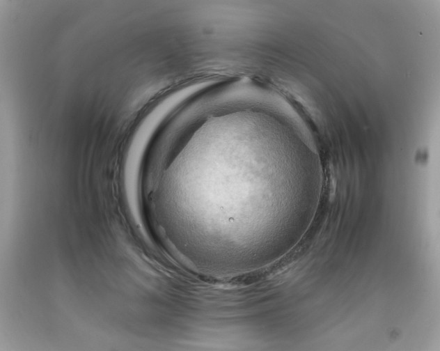 X0000091980692200709061355