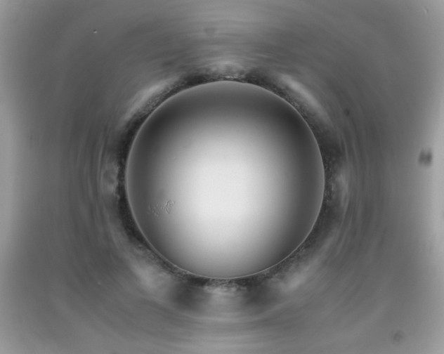 X0000091980693200709061355