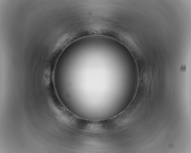 X0000091980694200709061355
