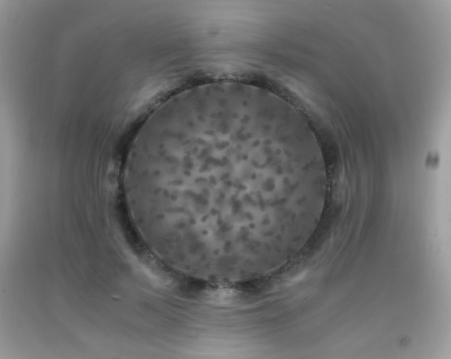 X0000091980695200709061355