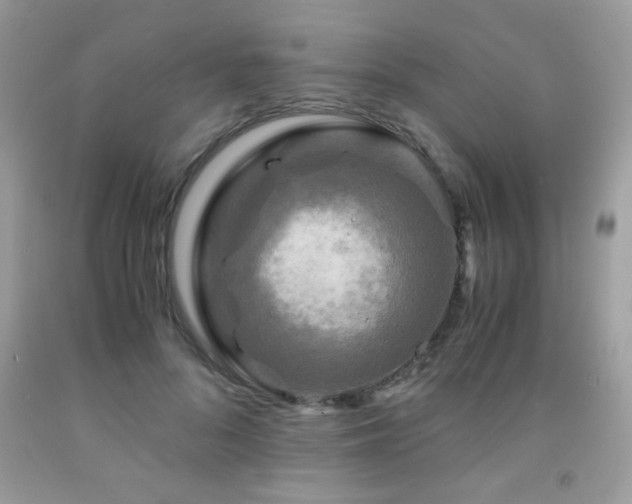 X0000091980696200709061355