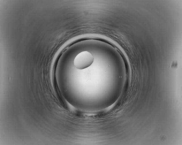 X0000091980697200709061355