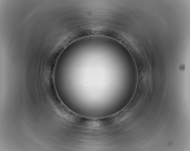 X0000091980698200709061355