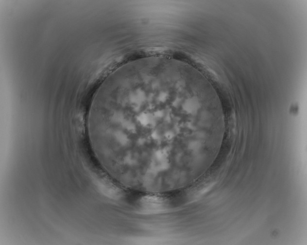 X0000091980699200709061355