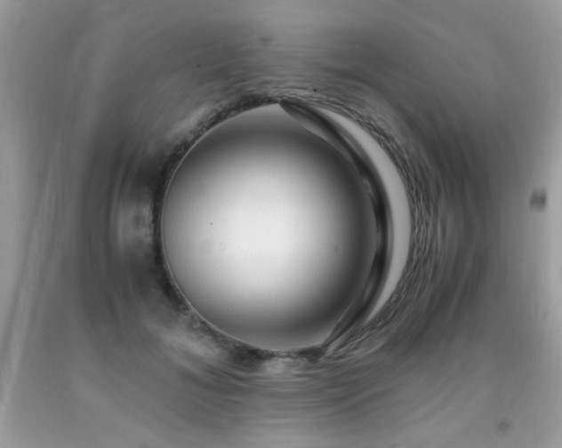 X0000091980700200709061355