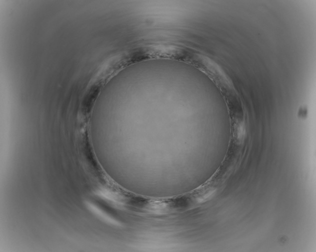 X0000091980701200709061355